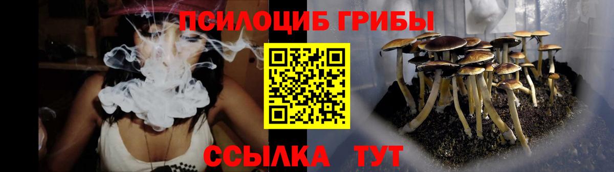 Ленинск-Кузнецкий  где купить   Псилоцибиновые грибы Cubensis  Вход с VPN  Псилоцибиновые грибы ЛСД 